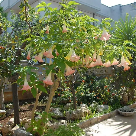 Bed & Breakfast Palma